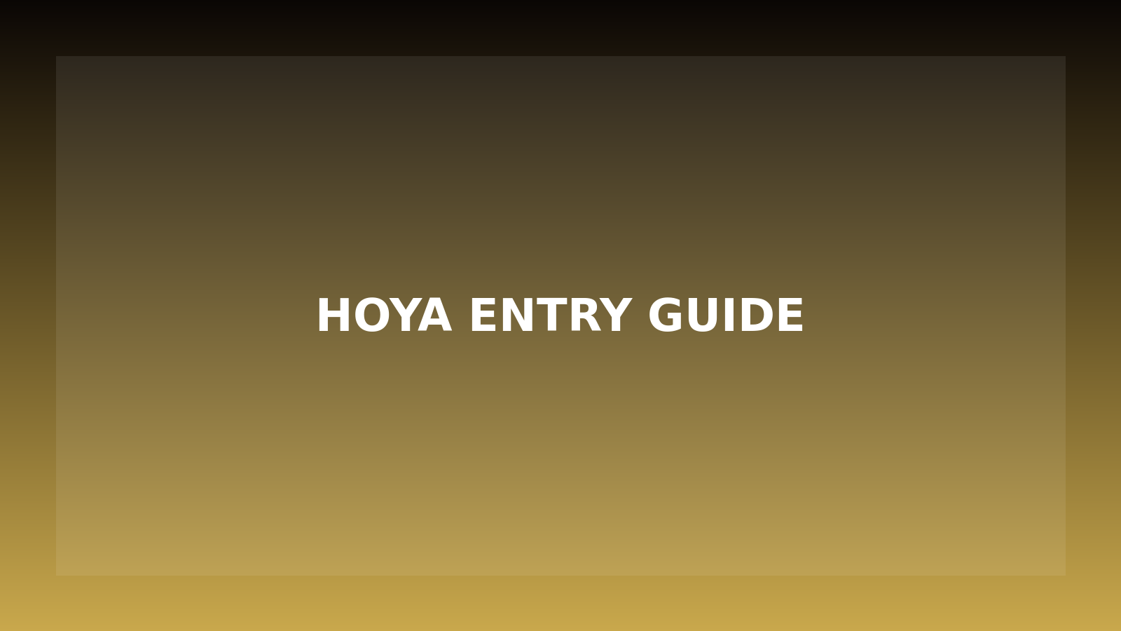 Hoya娛樂城官網入口與註冊教學封面
