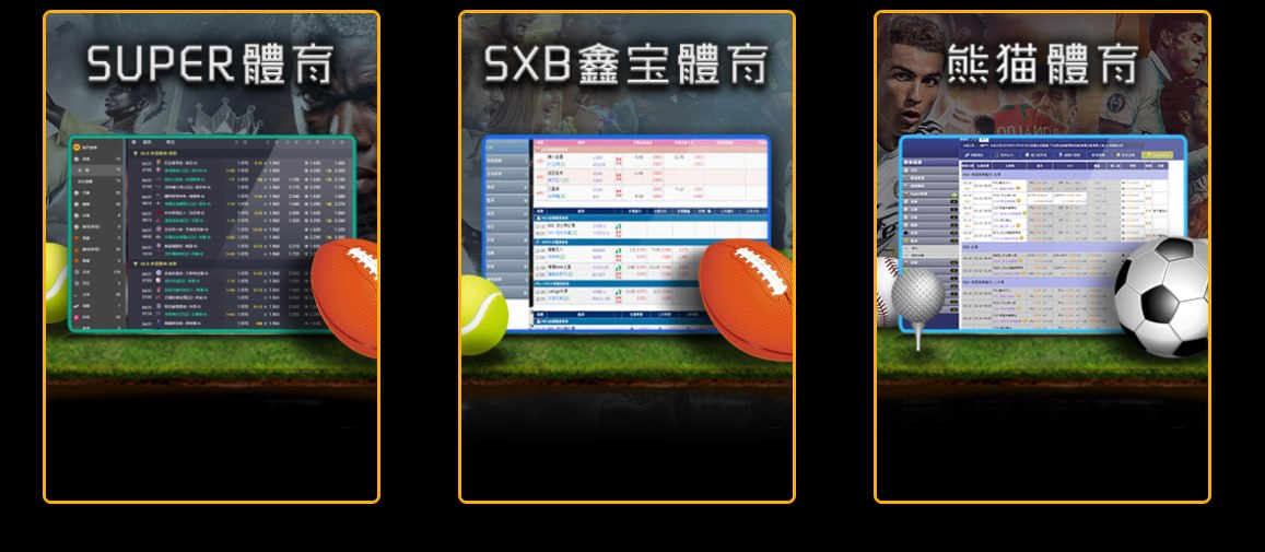 Hoya娛樂城體育